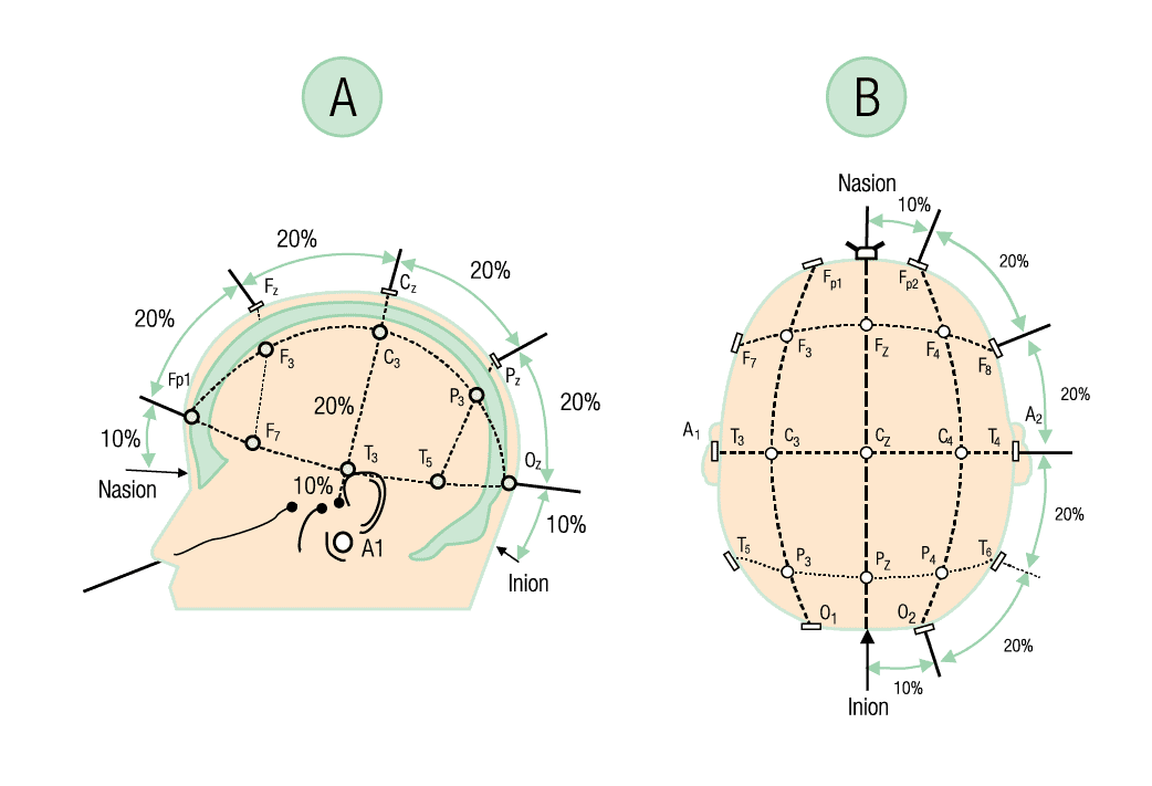 Texto alternativo para a imagem