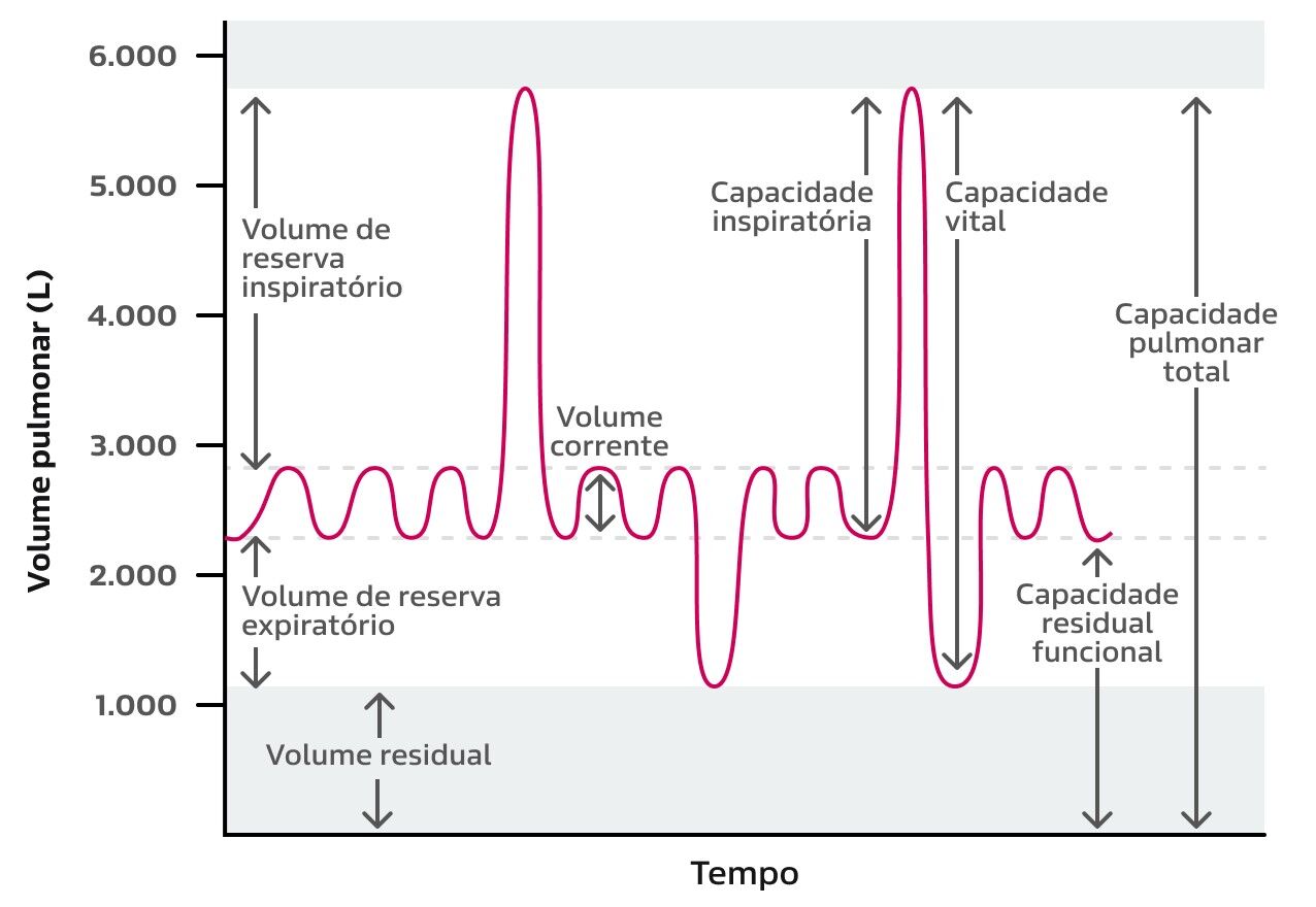 Texto alternativo para a imagem