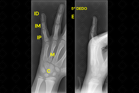 Texto alternativo para a imagem