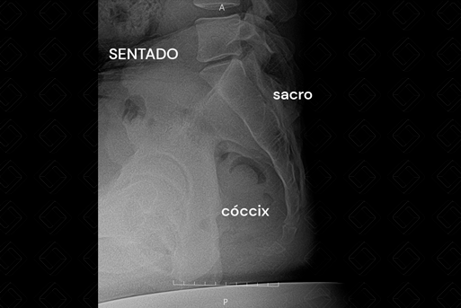 Texto alternativo para a imagem