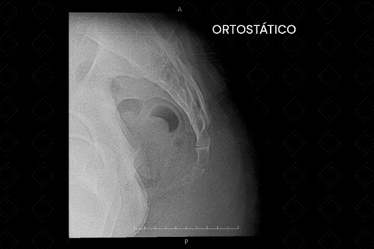 Texto alternativo para a imagem