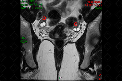 Texto alternativo para a imagem