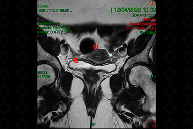 Texto alternativo para a imagem