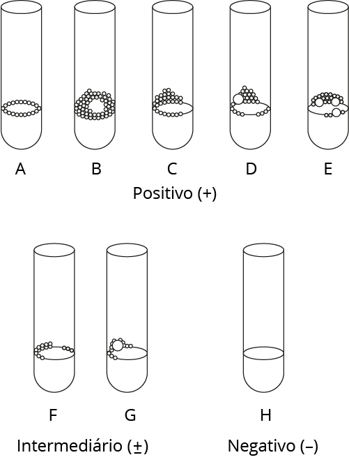 Texto alternativo para a imagem