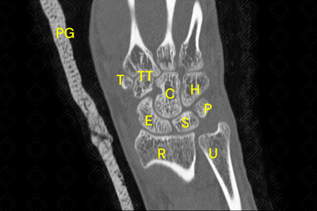 Texto alternativo para a imagem