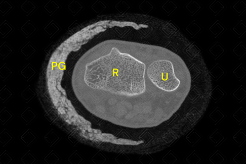 Texto alternativo para a imagem