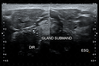 Texto alternativo para a imagem