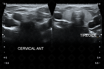 Texto alternativo para a imagem