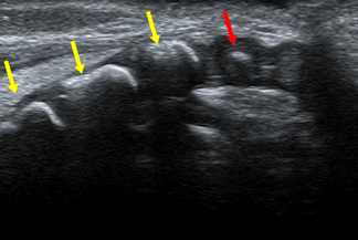 Texto alternativo para a imagem