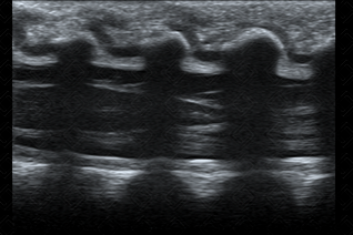 Texto alternativo para a imagem