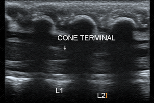 Texto alternativo para a imagem