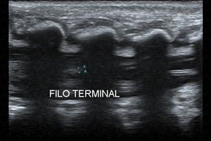 Texto alternativo para a imagem