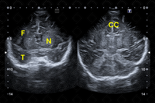 Texto alternativo para a imagem