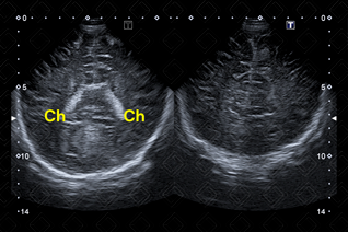 Texto alternativo para a imagem