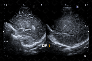 Texto alternativo para a imagem