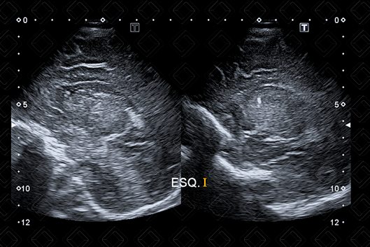 Texto alternativo para a imagem