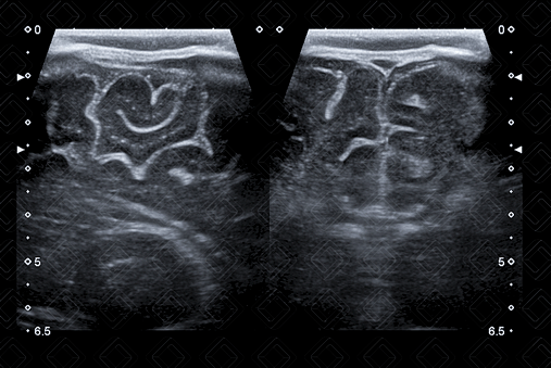 Texto alternativo para a imagem