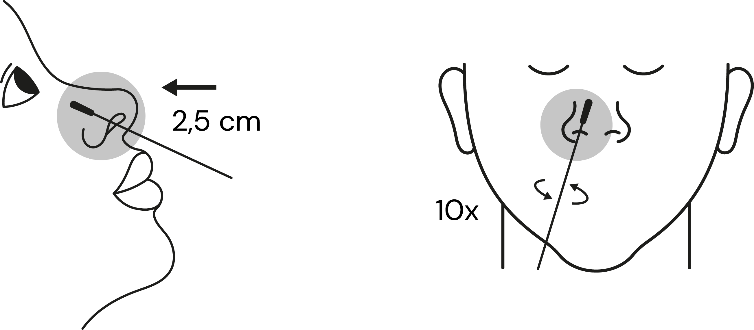 Texto alternativo para a imagem