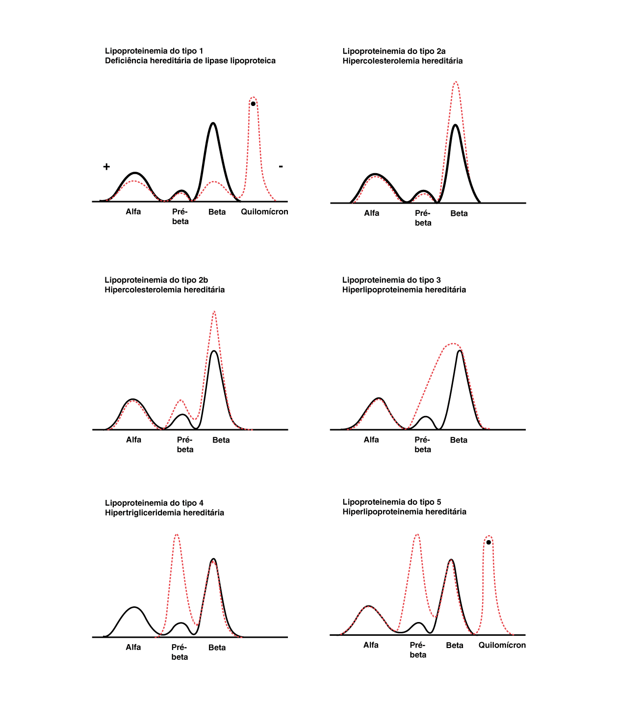 Texto alternativo para a imagem