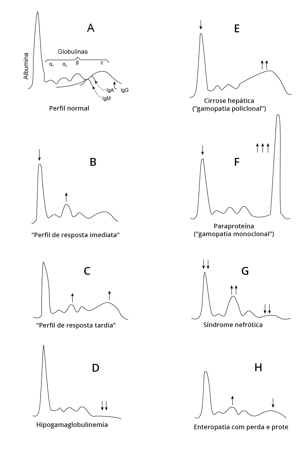 Texto alternativo para a imagem