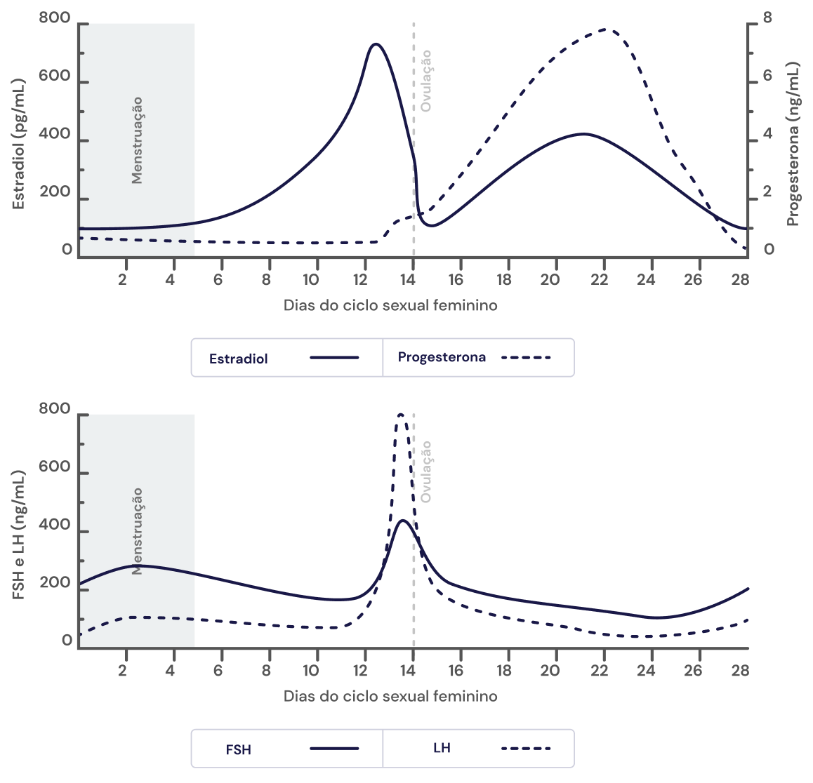Texto alternativo para a imagem