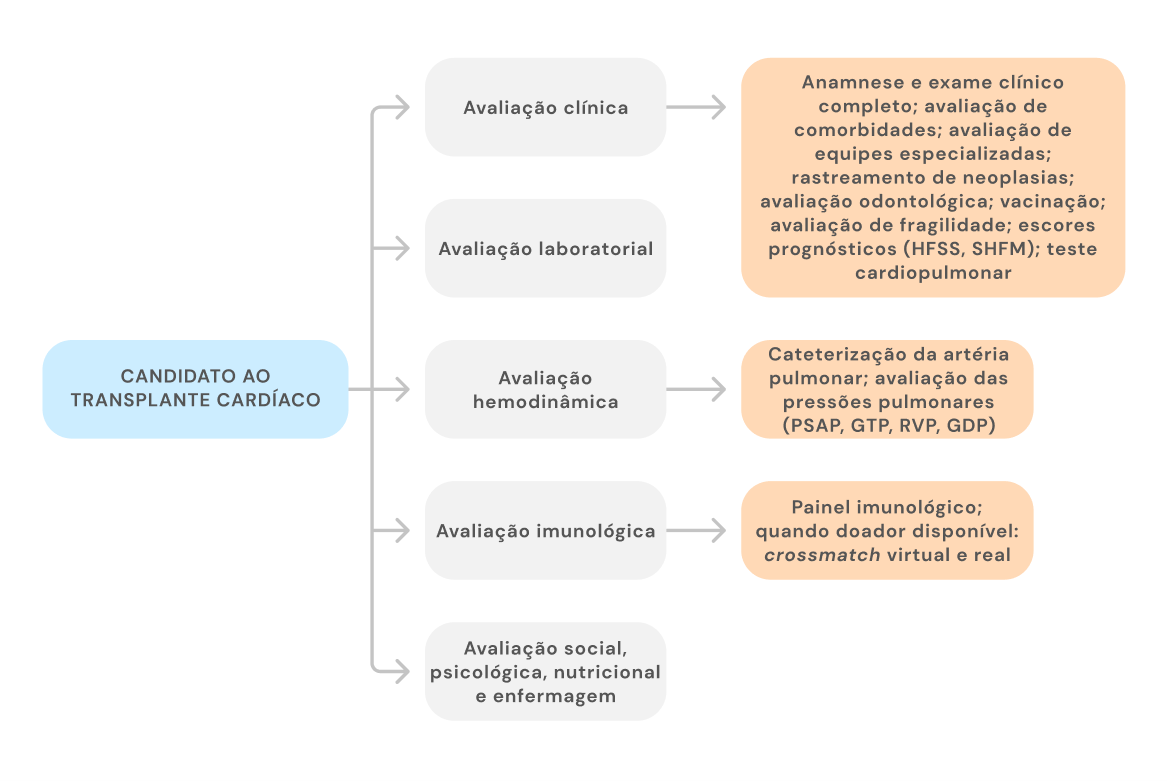 Texto alternativo para a imagem