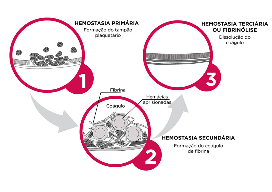 Texto alternativo para a imagem