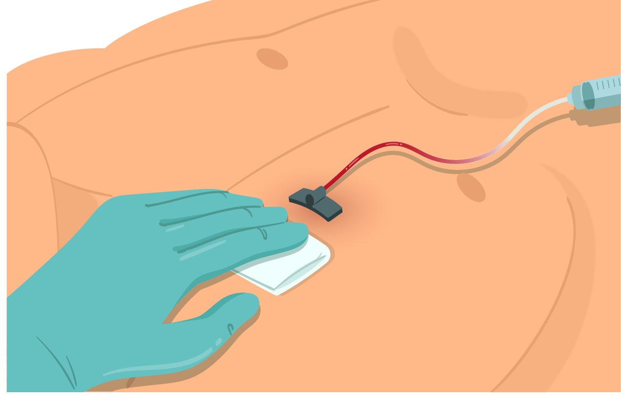 Texto alternativo para a imagem