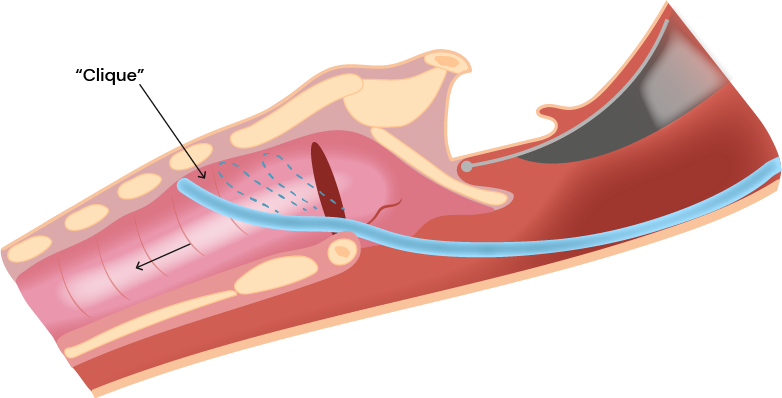 Texto alternativo para a imagem