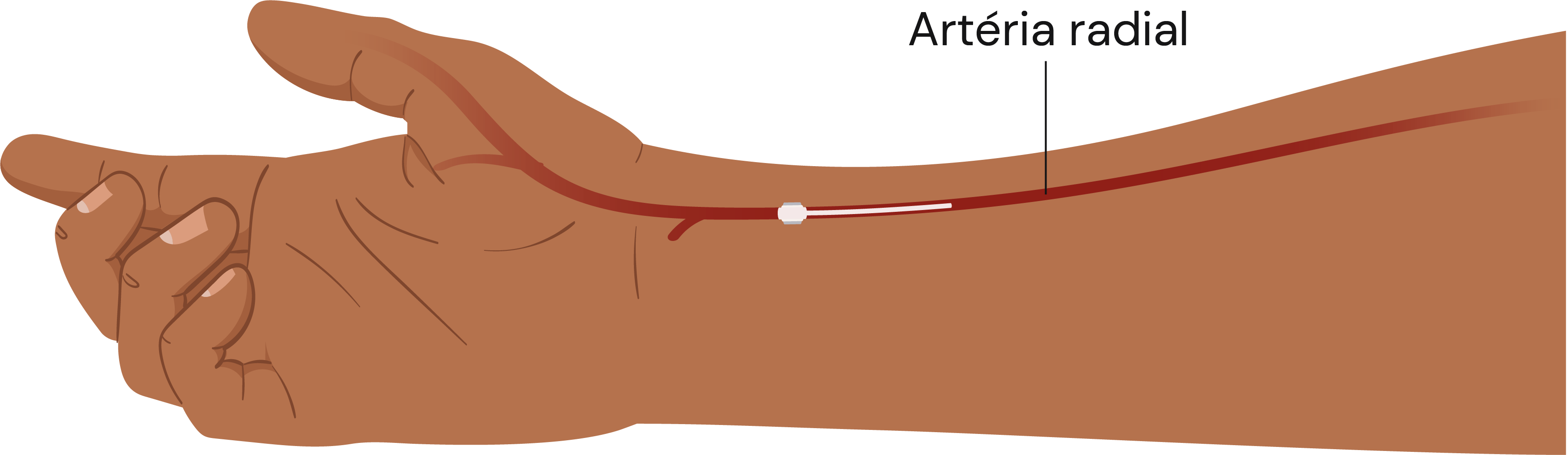 Texto alternativo para a imagem