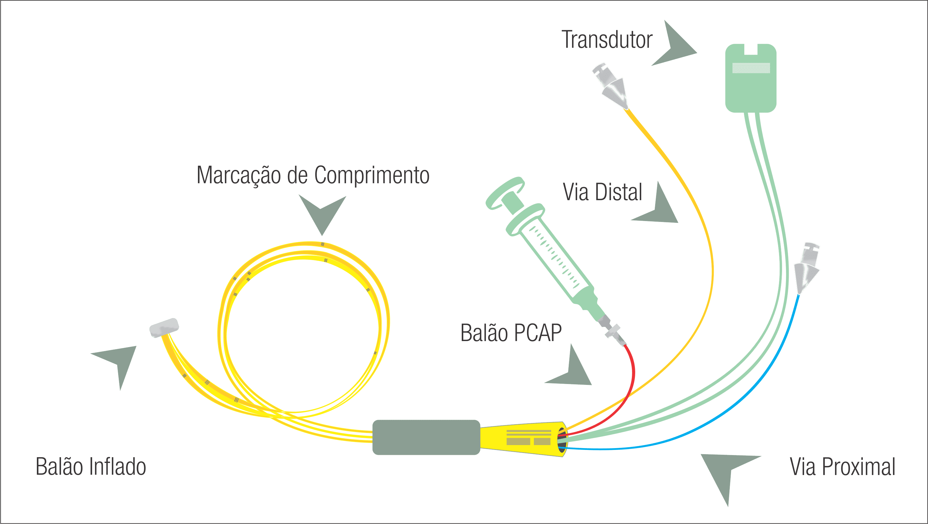 Texto alternativo para a imagem