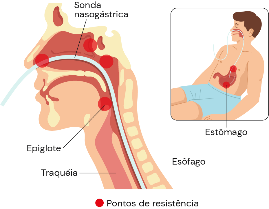 Texto alternativo para a imagem
