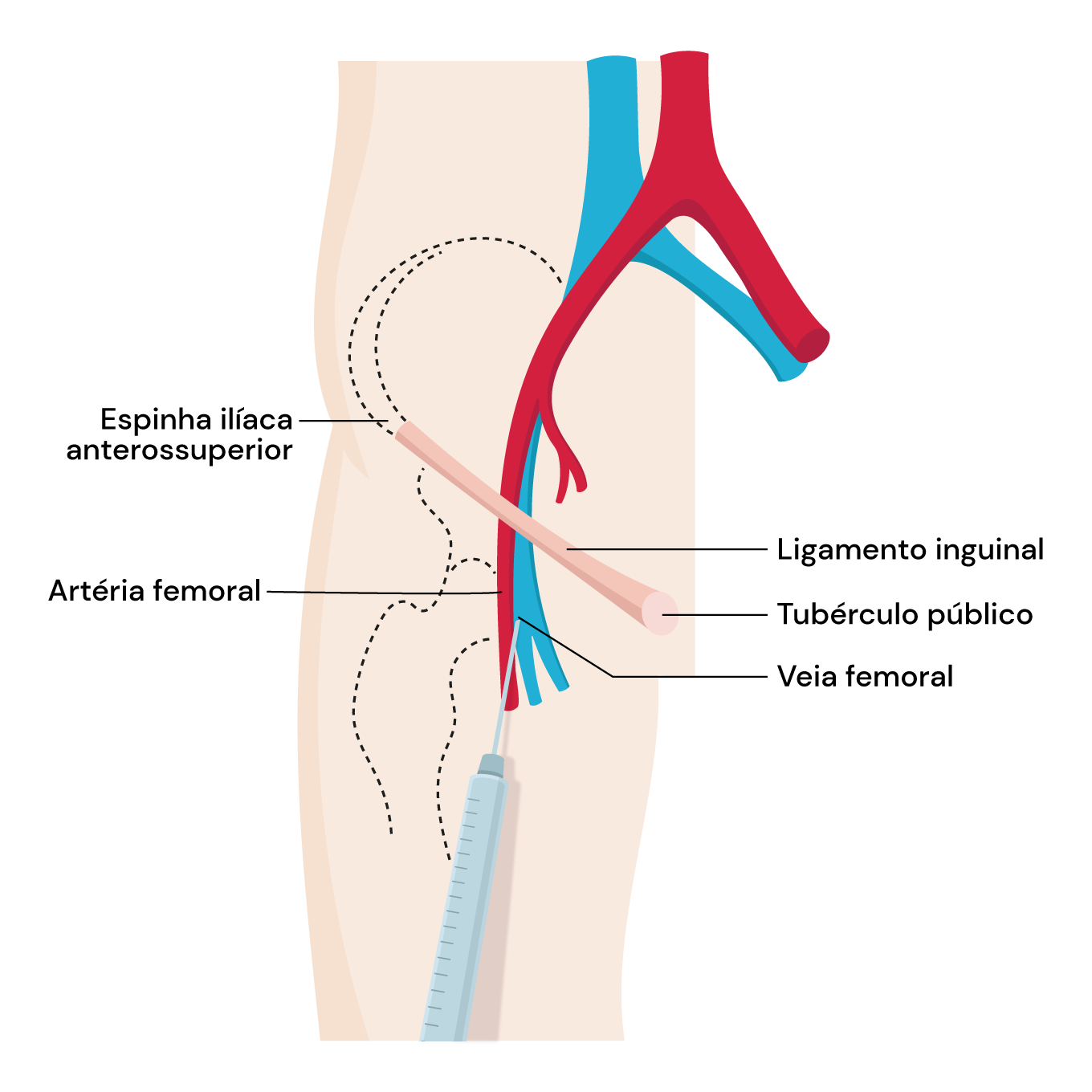Texto alternativo para a imagem