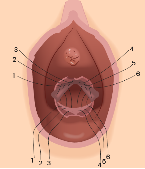 Texto alternativo para a imagem