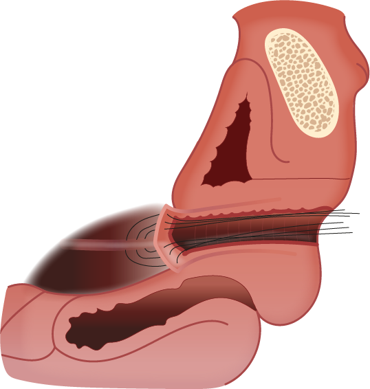 Texto alternativo para a imagem