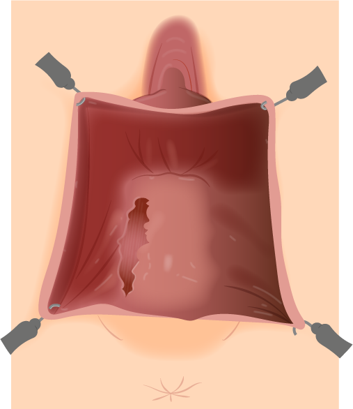 Texto alternativo para a imagem