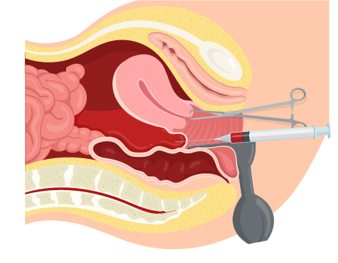 Texto alternativo para a imagem