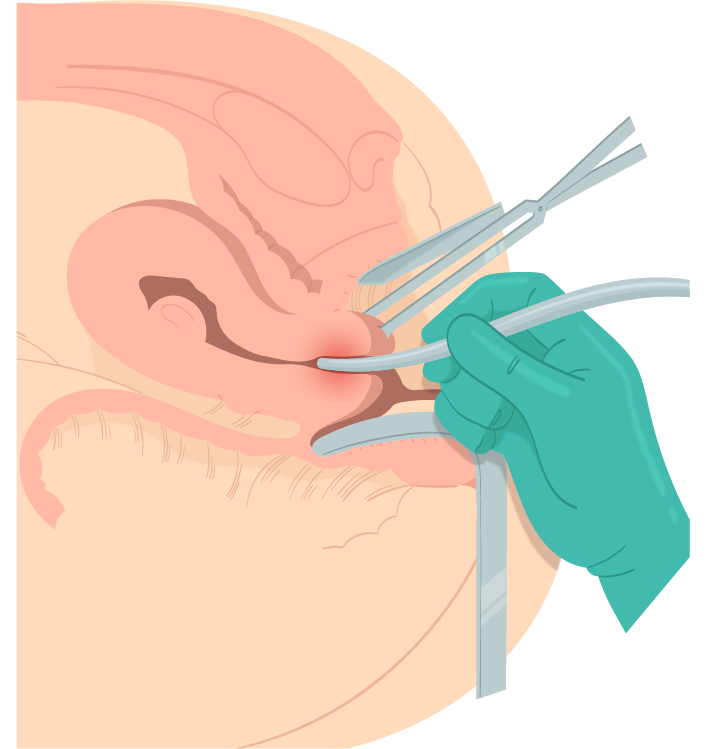 Texto alternativo para a imagem