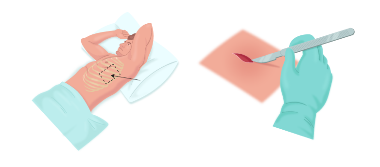 Texto alternativo para a imagem