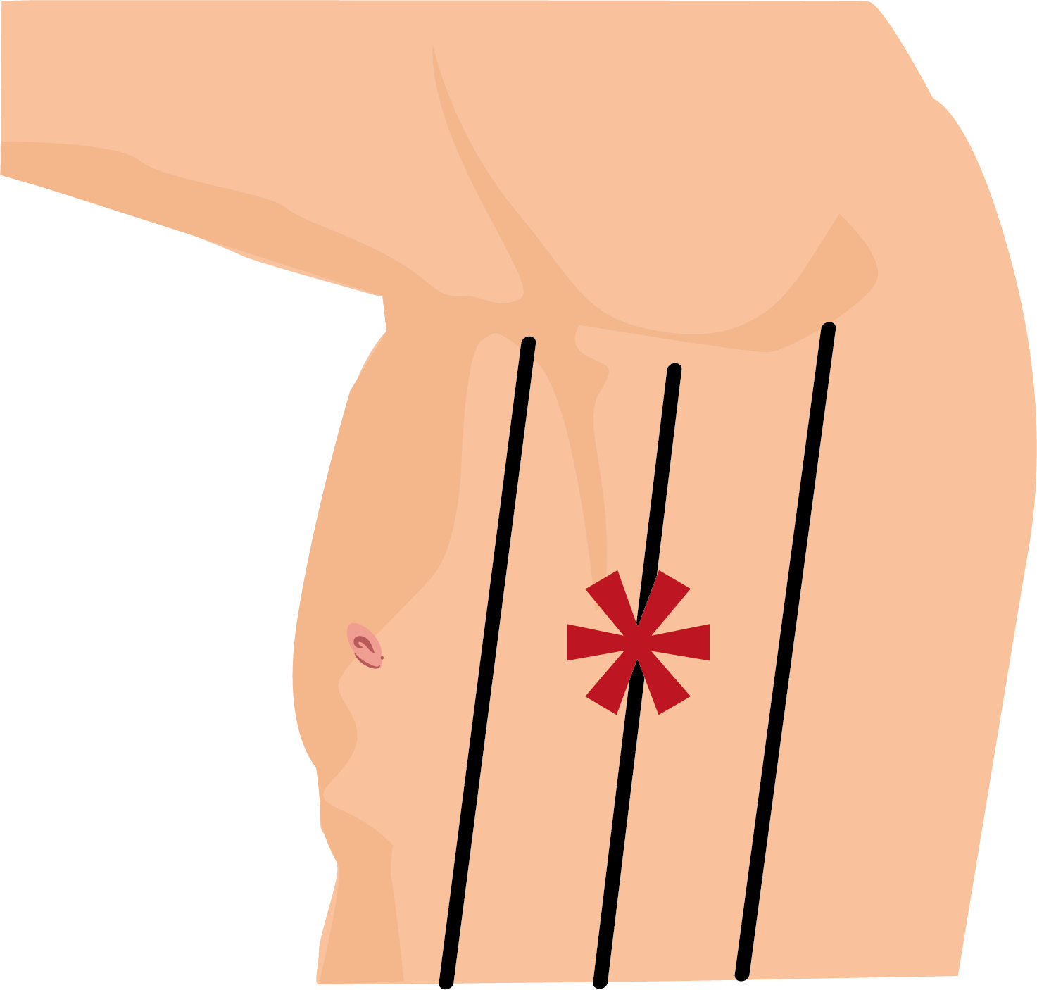 Texto alternativo para a imagem