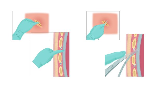 Texto alternativo para a imagem