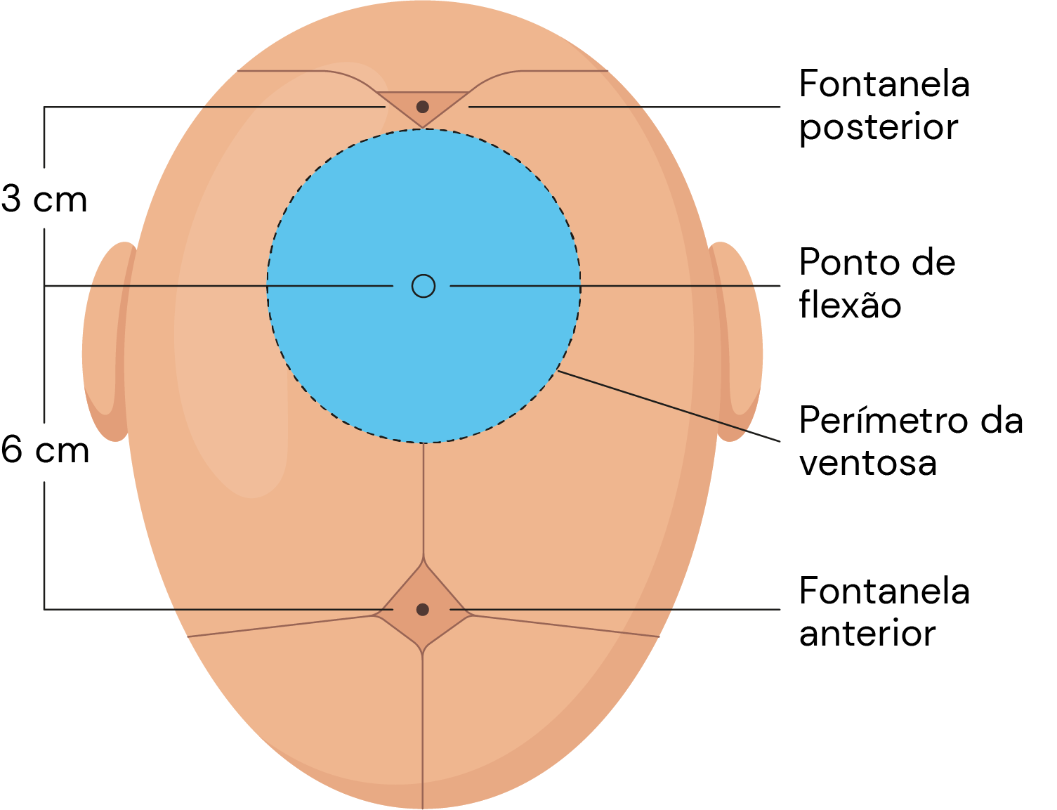 Texto alternativo para a imagem