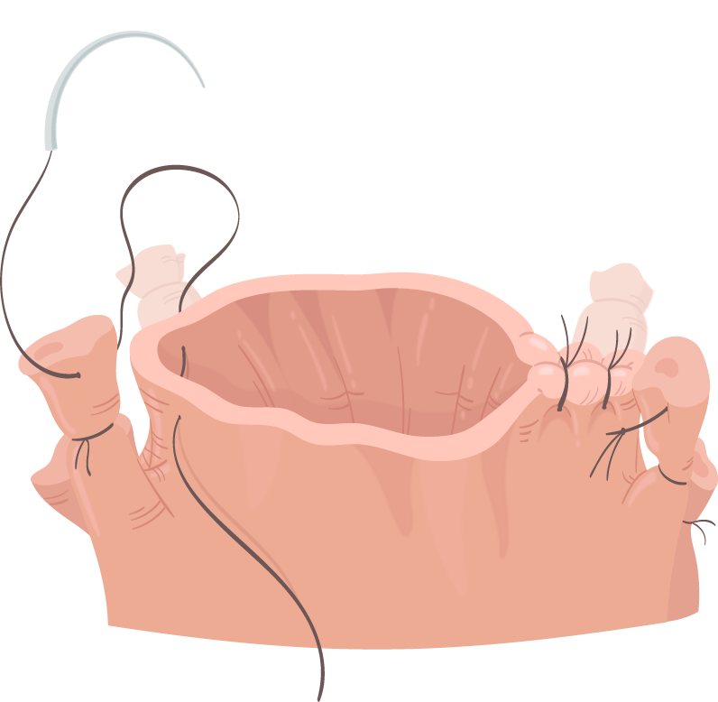 Texto alternativo para a imagem