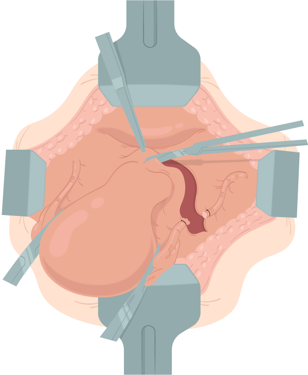 Texto alternativo para a imagem