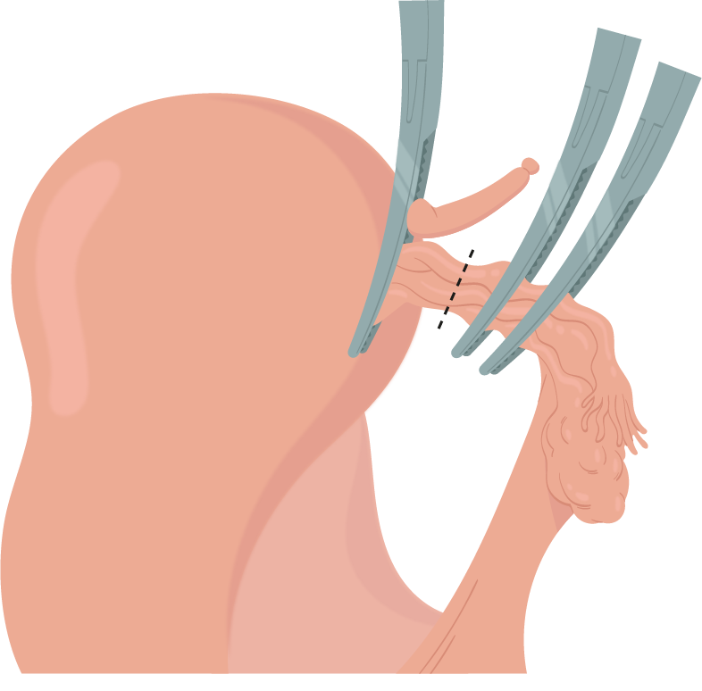 Texto alternativo para a imagem