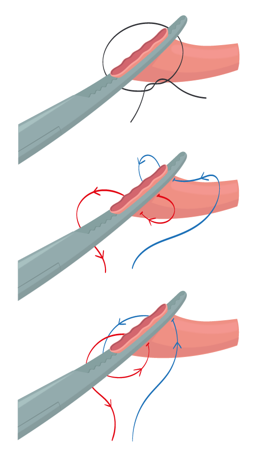 Texto alternativo para a imagem