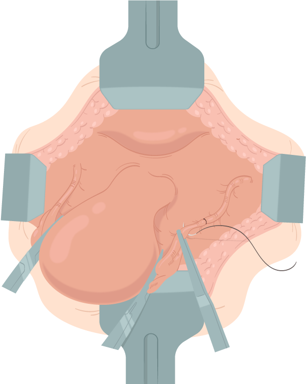 Texto alternativo para a imagem