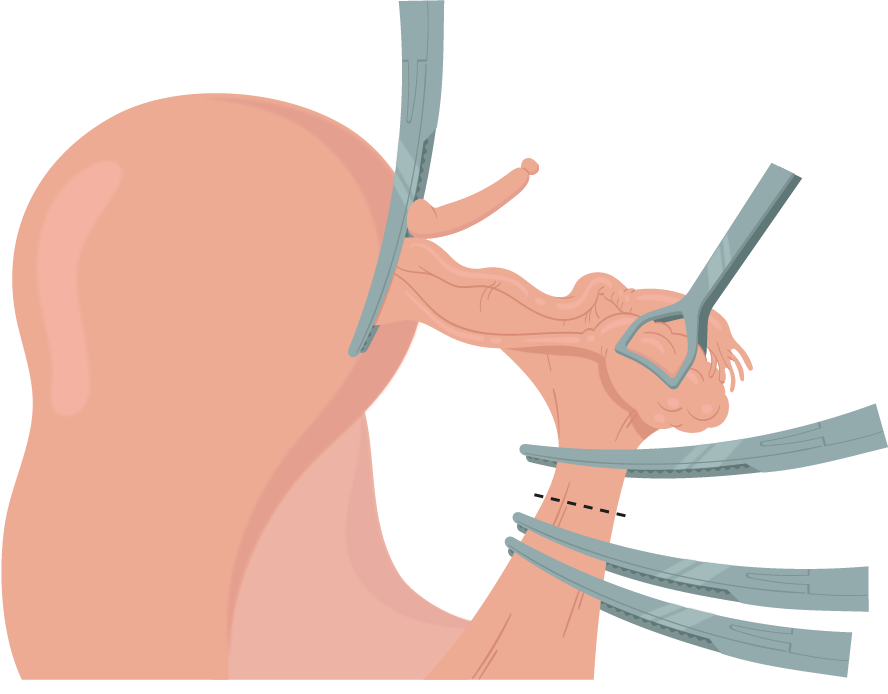 Texto alternativo para a imagem