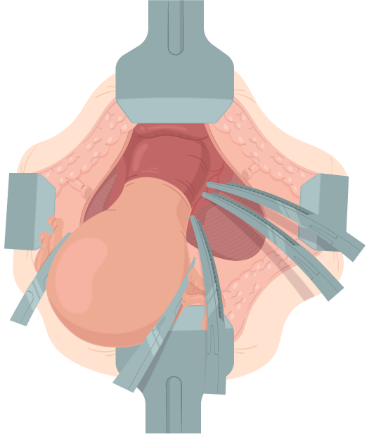 Texto alternativo para a imagem