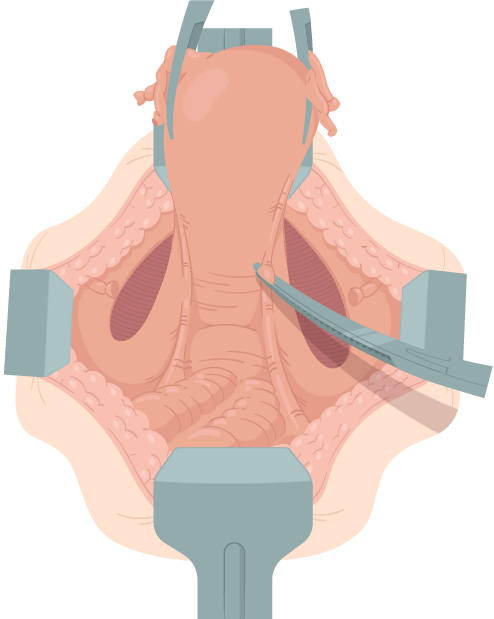 Texto alternativo para a imagem